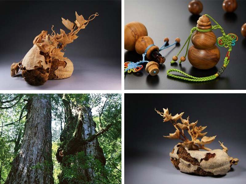 【 台灣檜木 】特殊環境造就優良好木 Taiwan wood craft Taiwan Cypress